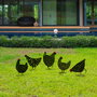Aberto Design Set de Pollos Decorativos de Metal Negro para Jardín